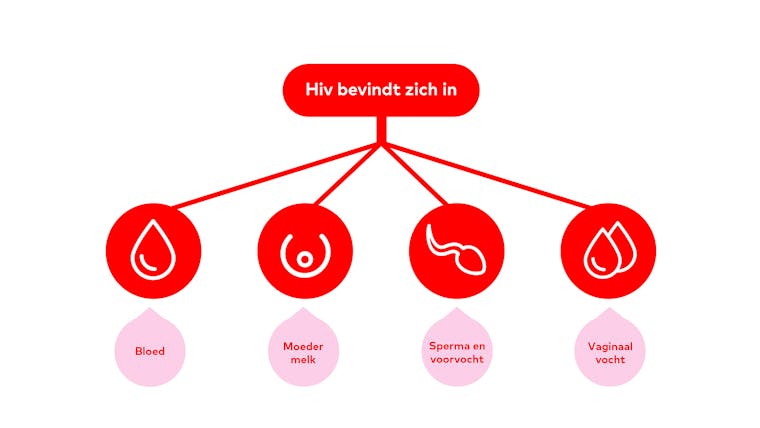 Hoe krijg je hiv? | Aidsfonds